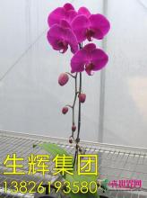 所有产品