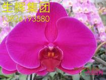 所有产品