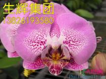 所有产品